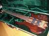 Peavey Cirrus 6 2.jpg
